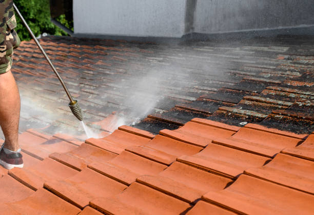 Best Exterior Home Cleaning  in Meadow Glade, WA