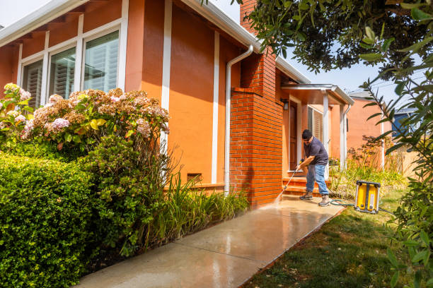 Deck Cleaning Services in Meadow Glade, WA